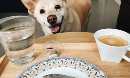 Can adding water to dog food cause diarrhea